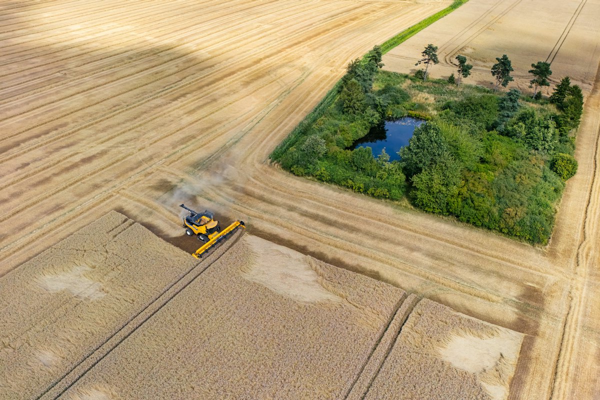 Colheita e maquinário agrícola em campo