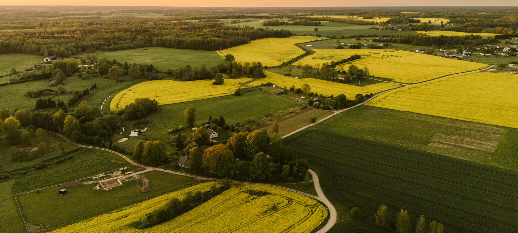Vista aérea de lavoura e colheita no agronegócio